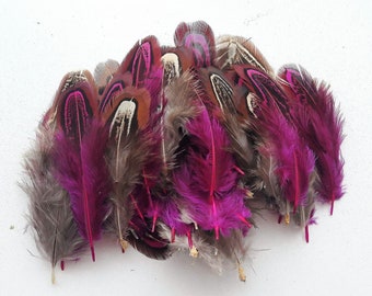 50 fuchsia and 2-6cm natural pheasant feather