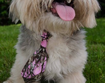 Pink and Green Dog Neck Tie - Pet Neck Tie for Wedding - Size Small - Adjustable Legnth - Pet Photo Prop - Over Collar Neck Tie