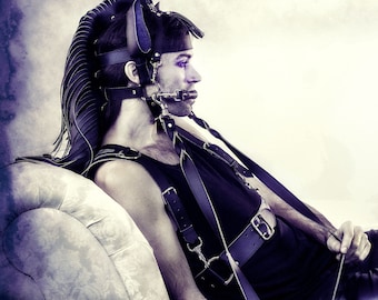 The Complete Pony Package: Jesse Harness, Tail and Long Mane in Faux Leather or Latex