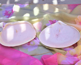 Clam Shell Candle Handmade Ocean Treasure Scented Cherry Blossom Scent Huge Candle Coastal Decor Pink Soy Way Candle Lot of 2