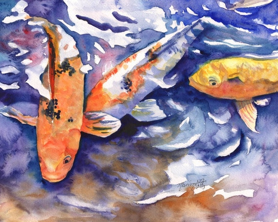 Koi 8x10 art prints koi fish art asian koi paintings koi