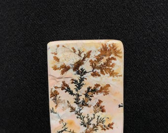 Dendritic agate cabochon