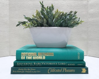 Teal Coffee Table Books, Large Book Set, Coffee Table Decor, Shelf Decor