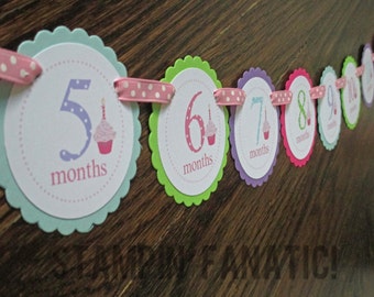 Sweet Little Cupcake Girl Banner: Just Born/0-12month Cupcake First Birthday Photo Picture Banner. First Birthday Banner. First Year Banner.