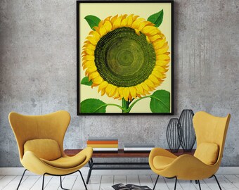 Sun Flower Art Large Botanical Poster of Flower Poster Decor Flower Decor Flower Wall Art Botanical Print Botanical Wall Art Botanical Art