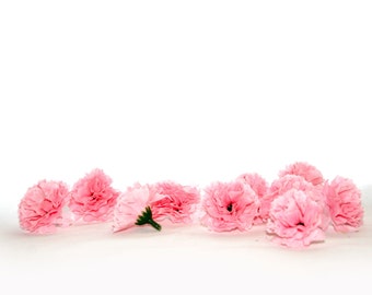 Baby Pink Carnations - 10 count - Artificial Flowers