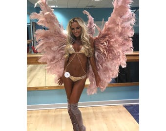 Victoria's Secret style rose gold themewear wings!