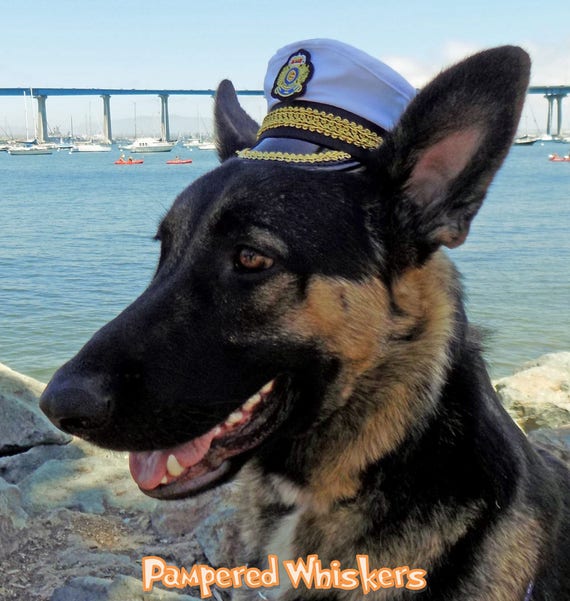 Captain hat for dogs and cats