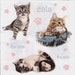 6 Decoupage Paper Napkins Cats, cat, kitten 33x33 cm. 13"x13" set of 6 pcs