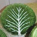 Set of 6 Portuguese Ceramic Leaf Form Plates, Bordallo Pinheiro