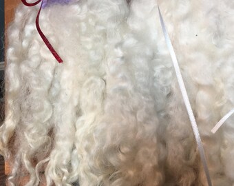 Teeswater Long Locks! 10” Long White Locks!