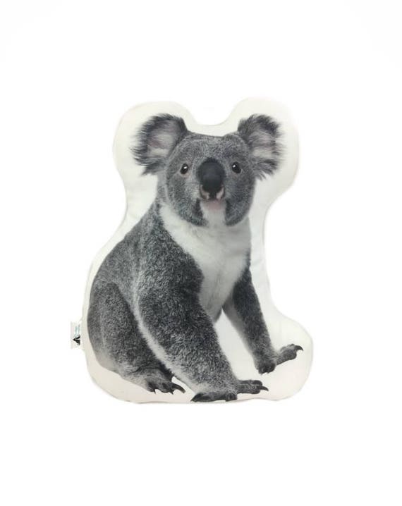 koala cuddle cushion