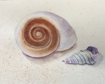 Shells Watercolor, Seashells Watercolor, Original Watercolor Painting