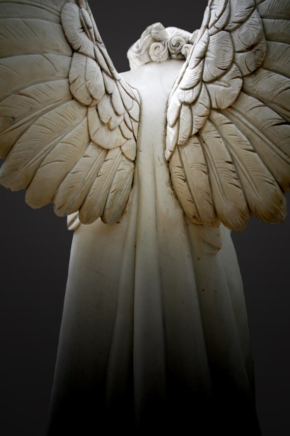 Angel Wings - (5" x 7" photographic greeting card - blank inside/with envelope)