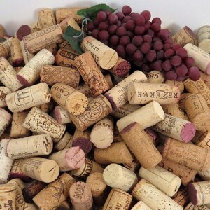 50 Used Wine Corks, All Natural, Excellent Variety, No Champagne or Synthetics, Fast Shipping