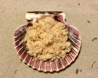 Chicken ~ Hermit Crab Food
