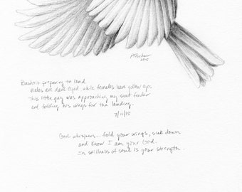 Bird Drawing, Bird Sketch, Nature Journal, Inspirational