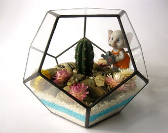 Geometric glass terrarium Dodecahedron medium Succulent terrarium Planter Terrarium air container