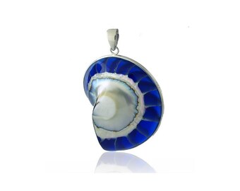 NAUTILUS SHELL