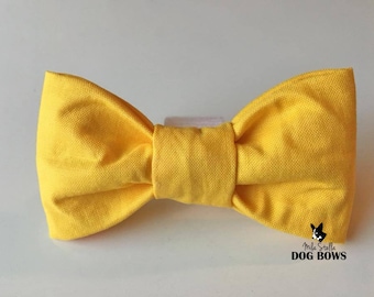 Solid Yellow Dog Bow Tie - Yellow dog bowtie - Yellow dog bow