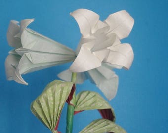 Trumpet Lily stem real origami