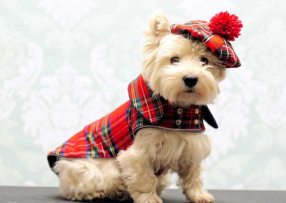 Dog Christmas Sweater Canada Dog Christmas Sweater Canada