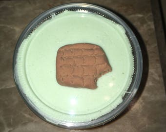 Mint Chocolate Ice Cream