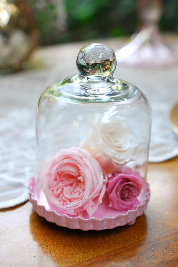 Mini cake dome white cake stand cupcake stand diy wedding