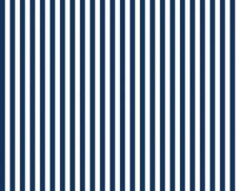 Riley Blake Designs, 1/4 Inch Stripe in NAVY (C555)