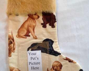 219 Labrador Puppies Pet Stocking