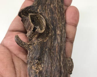 Rare Agarwood Piece - 15grams