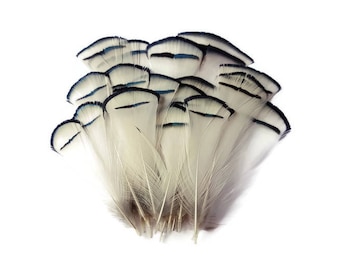 Plumes naturelles noires et blanches