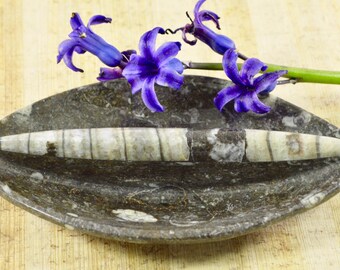 Fossilized Orthoceras Dish // Orthoceras Specimen // Fossil Specimen // Metaphysical Decor // Madagascar Mineral // Village Silversmith
