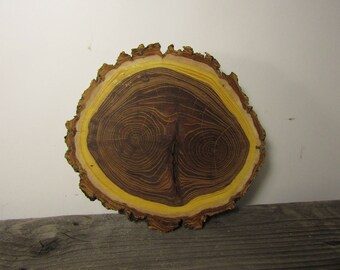 Gorgeous Large Elm Tree Slice- Wall Hanging, Candle Stand, Centerpiece, Large Wood Slice, Cake Stand (WS6029)