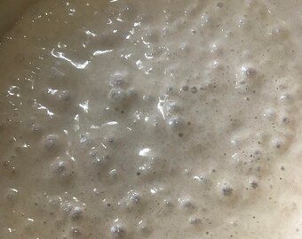 Einkorn Sourdough Starter 19 years old from Vermont