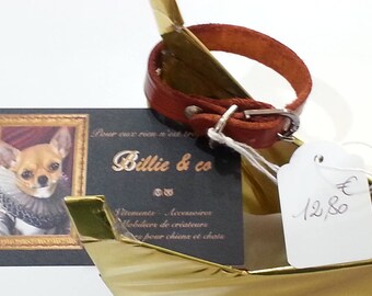 Leather small dog or cat collar