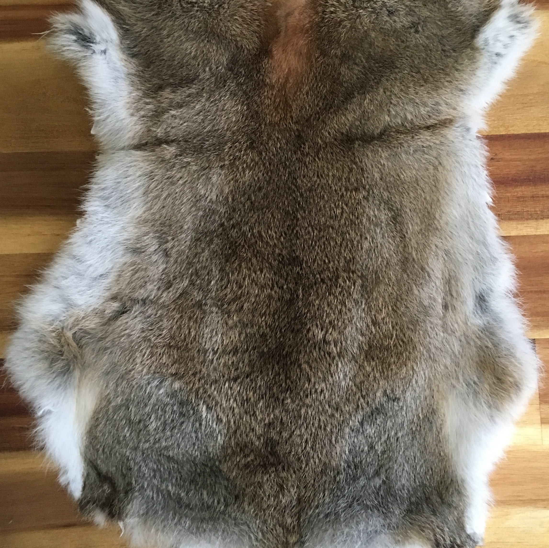 1x Wild Meadow Rabbit Skin Fur Pelt Tanned For Animal