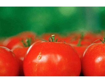 tomatoes, photonotecard