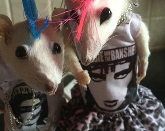 Im in love punks. Free shipping taxidermy rats