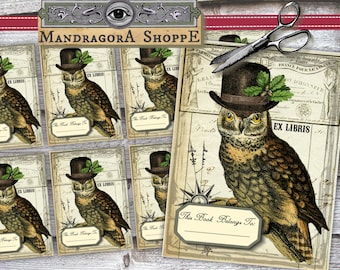 vintage bookplates 8x vintage library cards with owl ex libris instant download printable digital collage sheet for book lovers