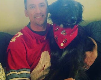 Ohio State Buckeyes Dog Bandana