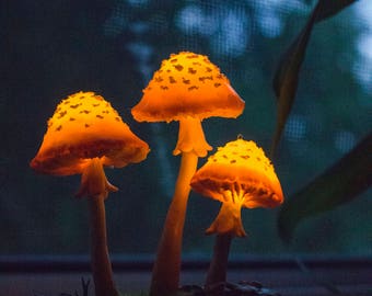 mushrooms night light blue polymer clay fungi miniature blue light mushroom growth