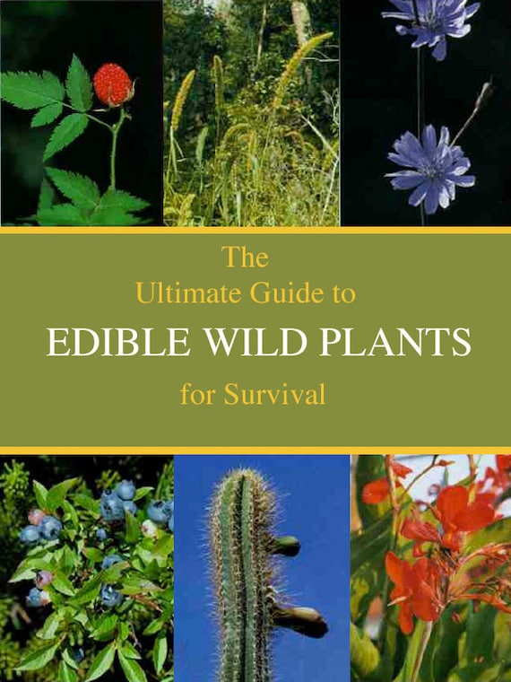 EDIBLE WILD PLANTS The Ultimate Survival Guide What To Eat and
