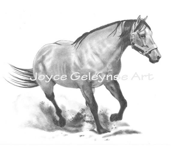 Items similar to Horse, Stallion Running, Realism Pencil Drawing