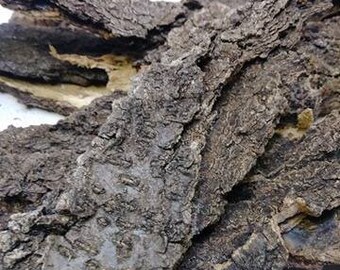 Tree Bark Rustic Wedding Decor Rustic Crafts