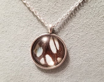 Real butterfly wing necklace