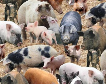 Elizabeths Studio - Farm Animals - Pigs - Brown - Fabric by the Yard 431E-BRN