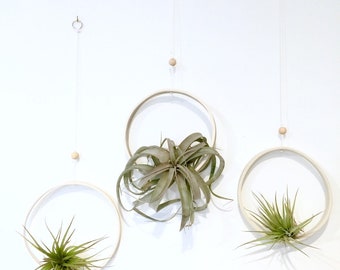 Airplant Ring Cradle Sling Hanging Planter Display for Air Plant MADE TO ORDER #airplant