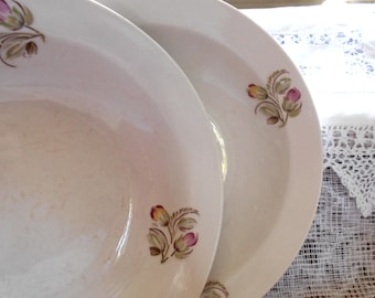 Vintage soup plates Russian collection Antique soup plates Retro dinnerware Floral vintage plate Soviet vintage dishes Retro dinner plates