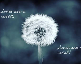 Some See A Weed, Some See A Wish. 11x14 Matte Print
